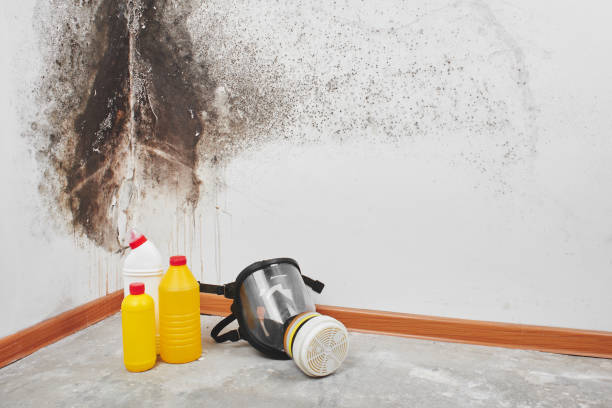 Crawl Space Mold Removal in Southlake, TX