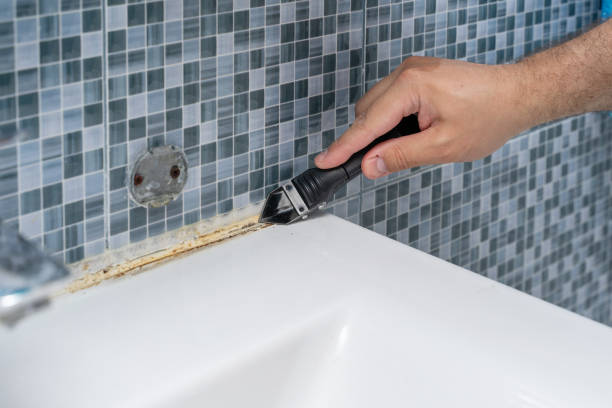 Best Professional Mold Removal  in Southlake, TX